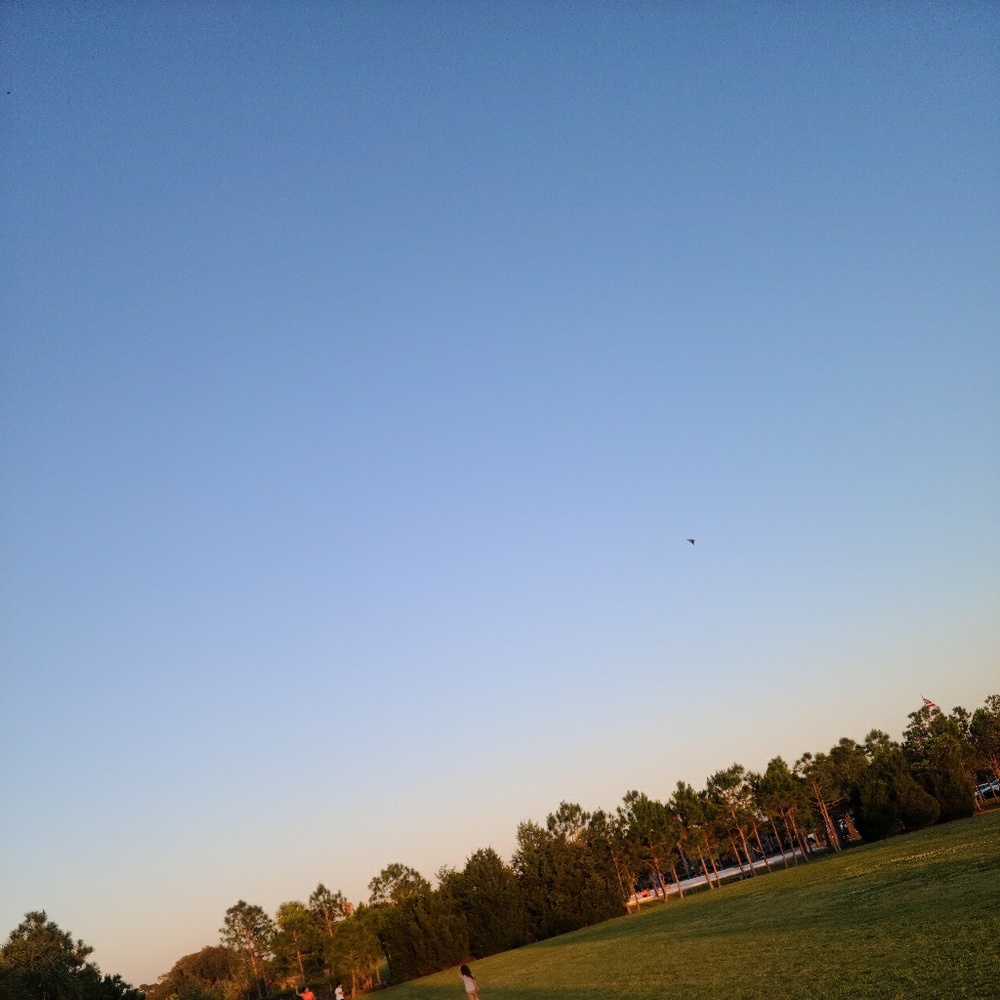 Meet your Posher, Diana